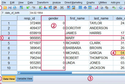 Cửa sổ Data Editor trong SPSS